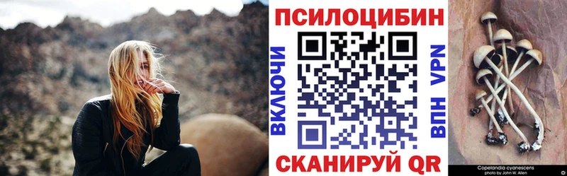 Псилоцибиновые грибы прущие грибы  купить наркоту  Красноперекопск 